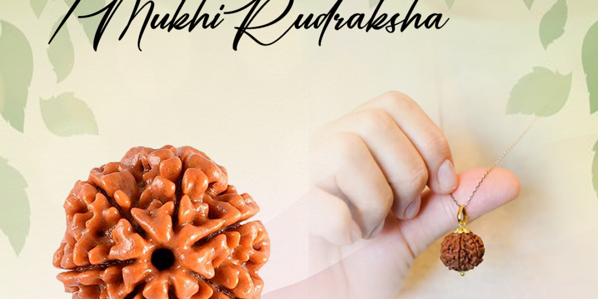 Buy 7 Mukhi Rudraksha Online at Rashi Ratan Bagya