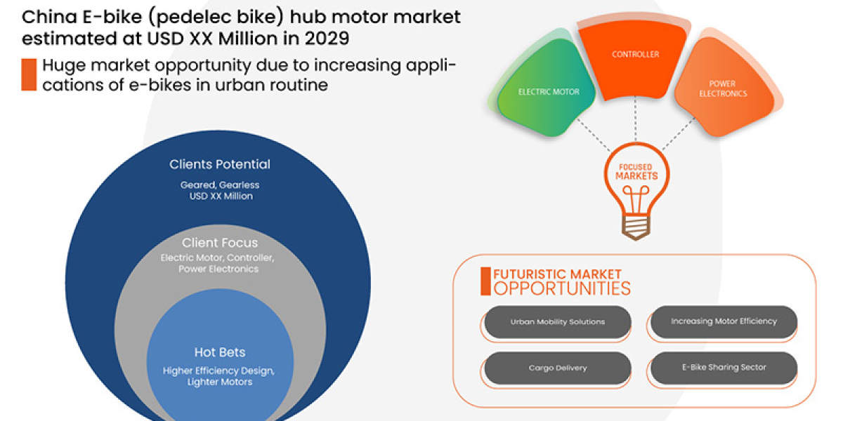 China E-Bike (Pedelec Bikes) Hub Motor Market Growth, Industry Size-Share, Trends, Scope, Industry Experts by 2029