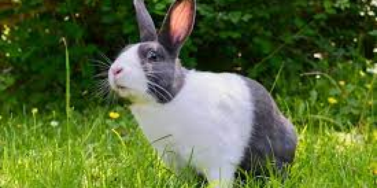 Can Rabbits Eat Marshmallows? Unraveling the Truth about Bunny Treats