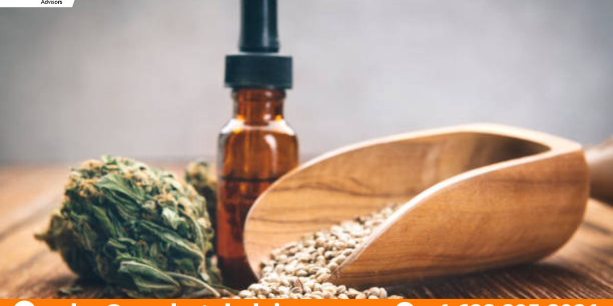 The Business of Latin America Seed Treatment Market: Investment Opportunities and Challenges