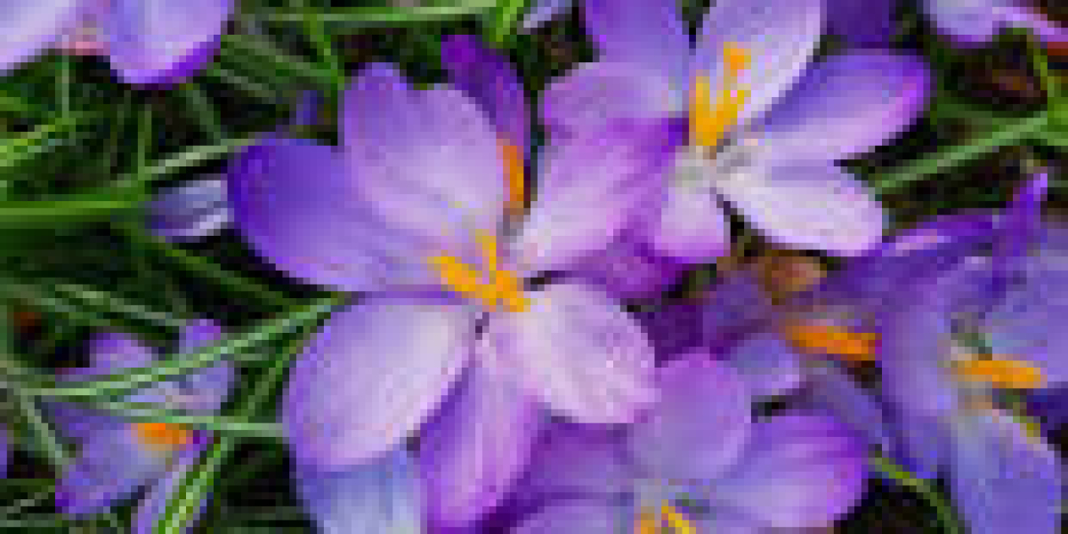 15 Well-Paying IT and Tech Jobs that Don’t Require Coding