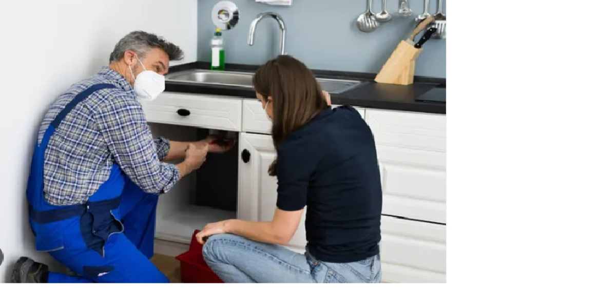Sink Repair Services Oakville: Keeping Your Kitchen Functional