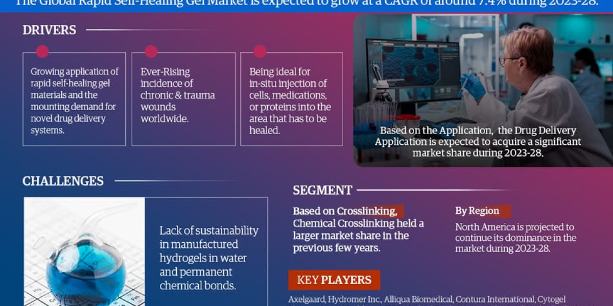 The Business of Global Rapid Self-Healing Gel Market: Investment Opportunities and Challenges