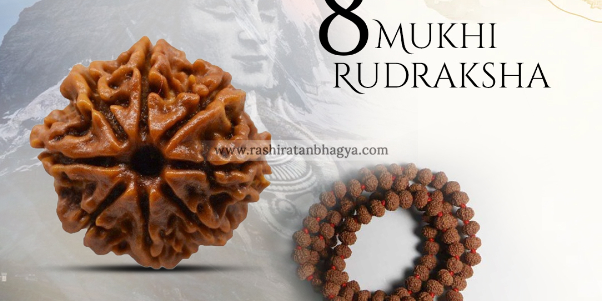 Buy Natural 8 Mukhi Rudraksha from Rashi Ratan Bhagya