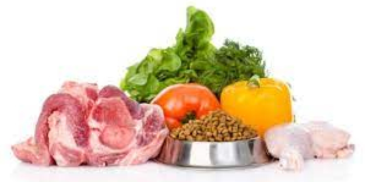 Pet Food Ingredients Market Outlook, Current and Future Industry Landscape Analysis 2030