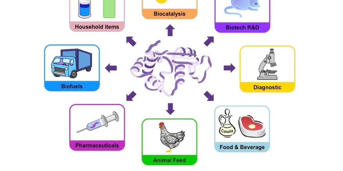 Industrial Enzymes Market Trends 2023-2030 | Global Demand & Forecast Report