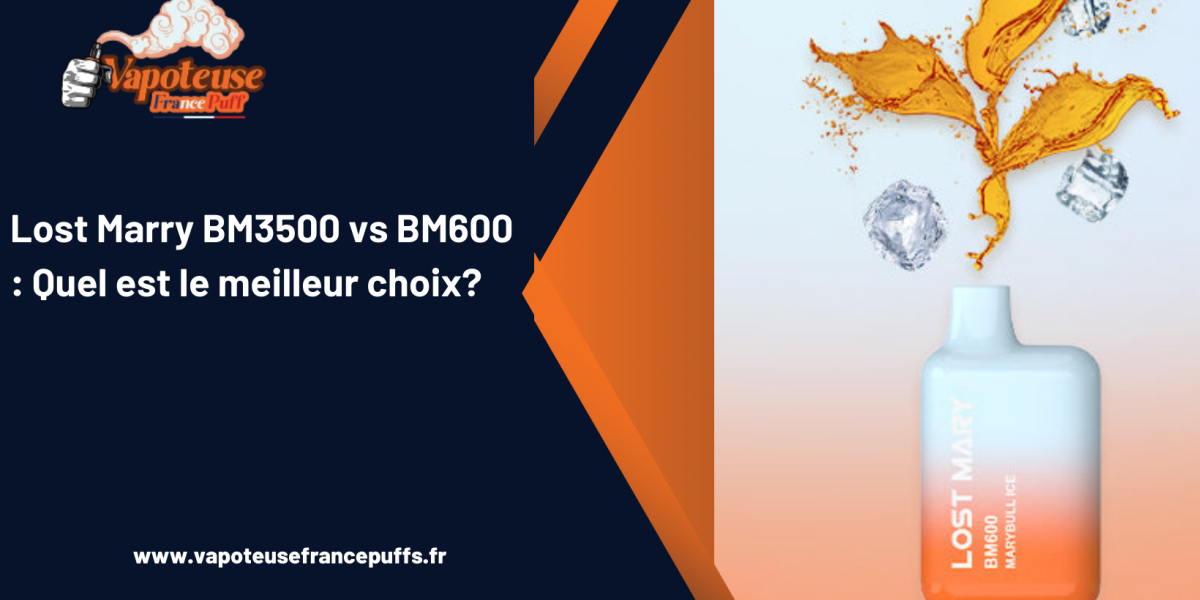 Lost Marry BM3500 vs BM600 : Quel est le meilleur choix?