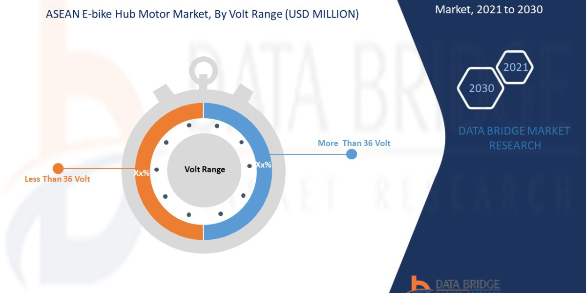 ASEAN E-Bike Hub Motor Market Growth Trends, Scope, Challenges, Forecast by 2030