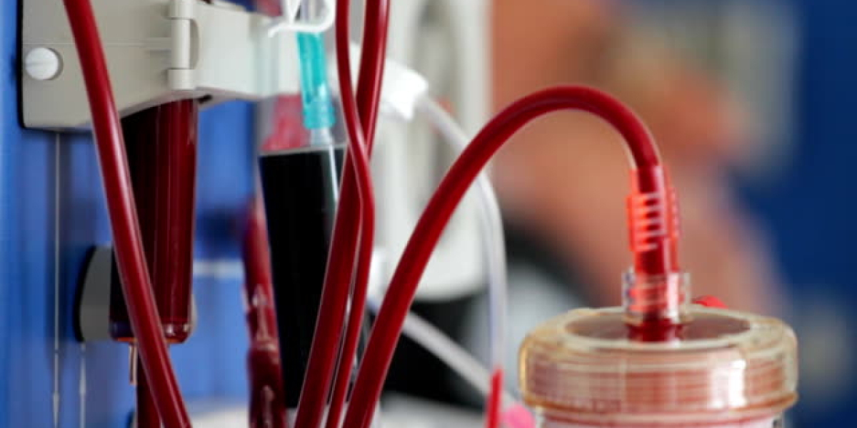 Dialyzer Market Industry Strategy, Trends, Growth, Size, Share, Demand and Forecast to 2030