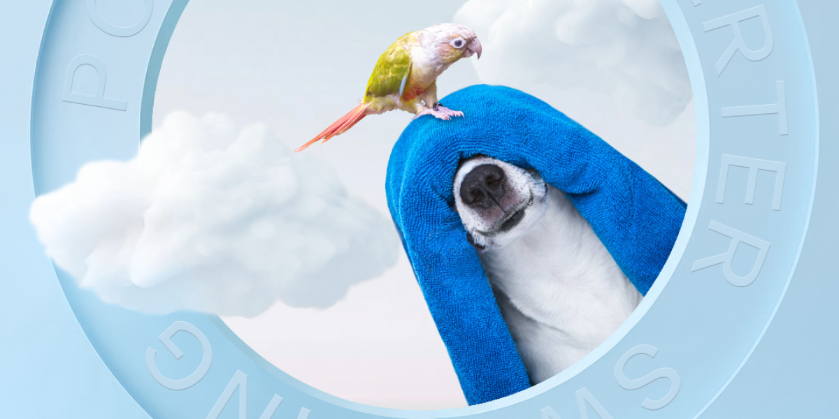 Pool Floats and Pool Heat Pumps: The Ultimate Combination for Safe and Fun Swimming for Kids