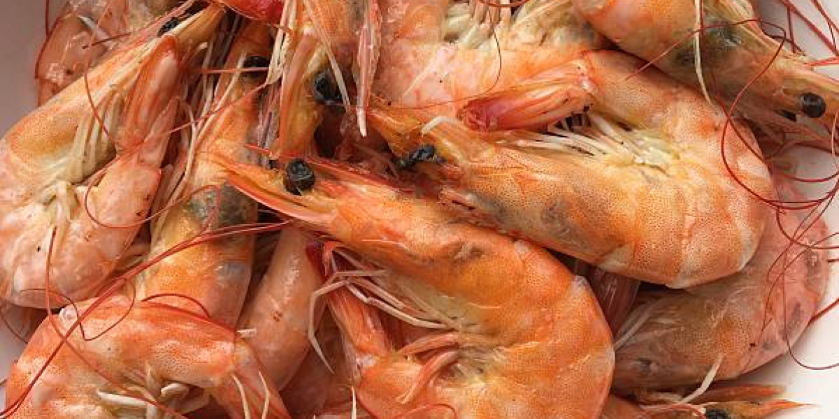 Chitosan Market Overview with Regional Growth, Price, and Forecast 2030