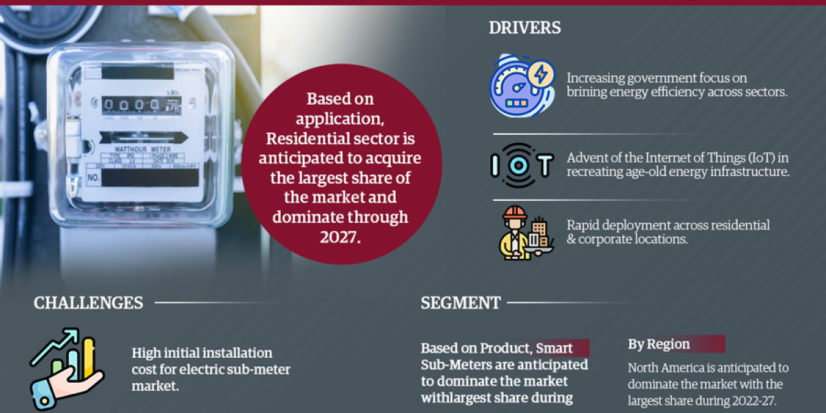 Global Electric Sub Meter Market Analysis, Share, Size, Growth, Report and forecast 2022-2027
