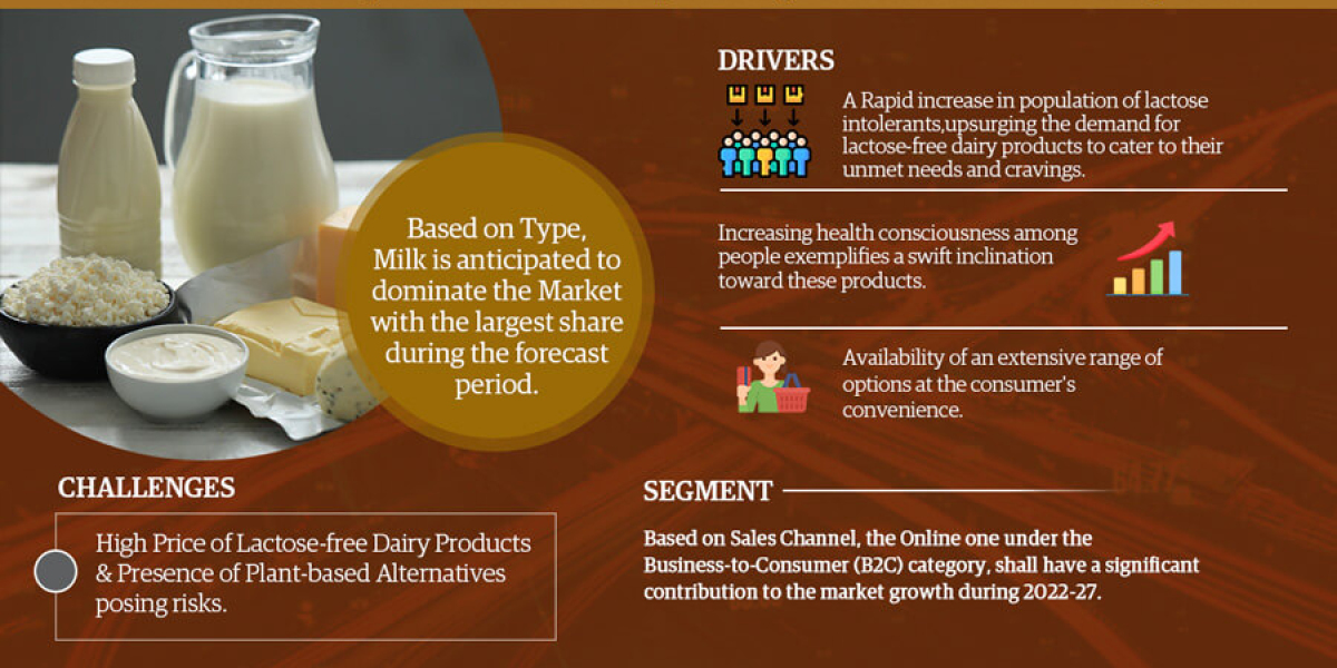 India Lactose-Free Dairy Products Market Insights: Top Companies, Regional Analysis, and Growth Opportunities