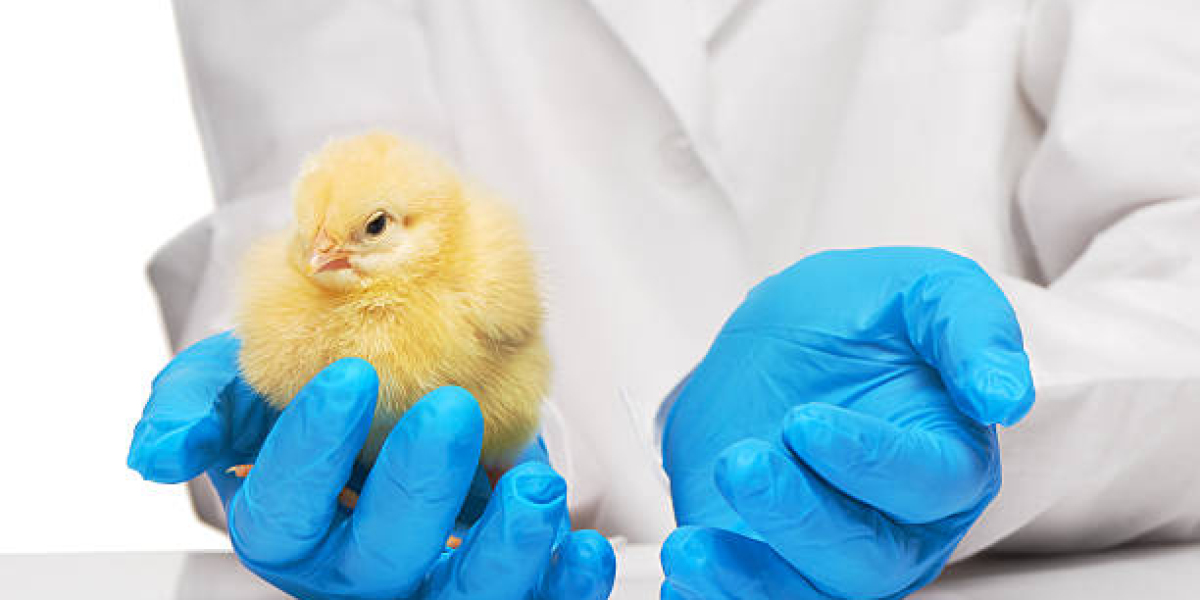 Poultry Diagnostics Market Report 2023 | Industry Growth and Forecast 2028