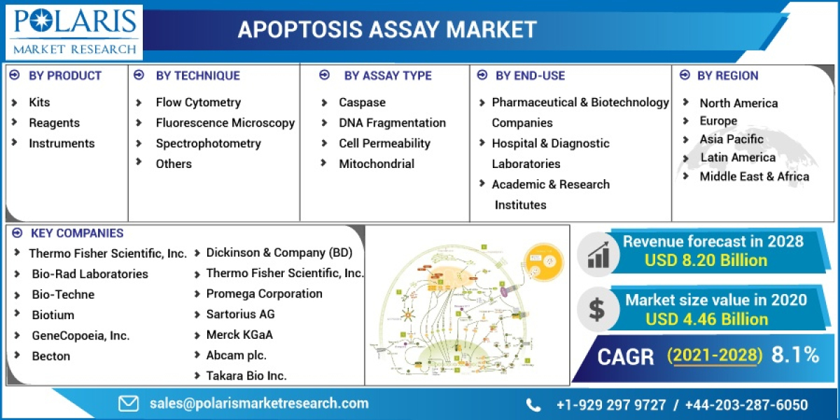 Apoptosis Assay Market Forecast, Latest Innovations, Growth Opportunities and Competitive Lands 2032