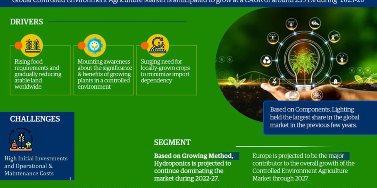 Controlled Environment Agriculture Market Insights: Top Companies, Regional Analysis, and Growth Opportunities
