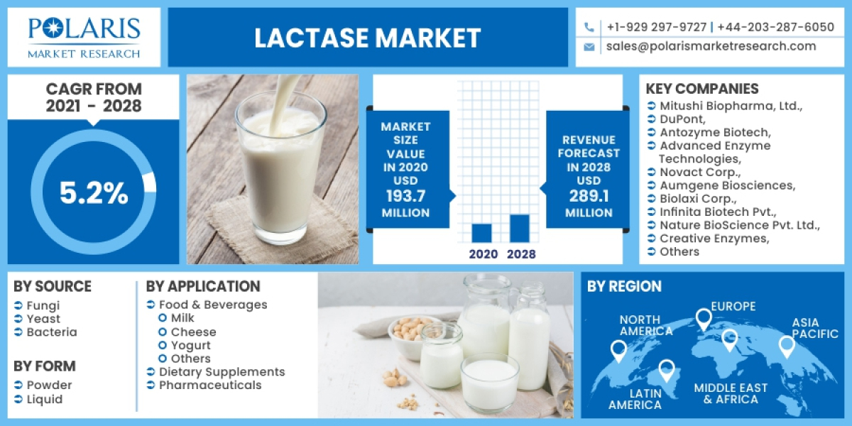 Lactase Market Size, Opportunities, Analysis, Growth Factors, Latest Innovations and Forecast 2032