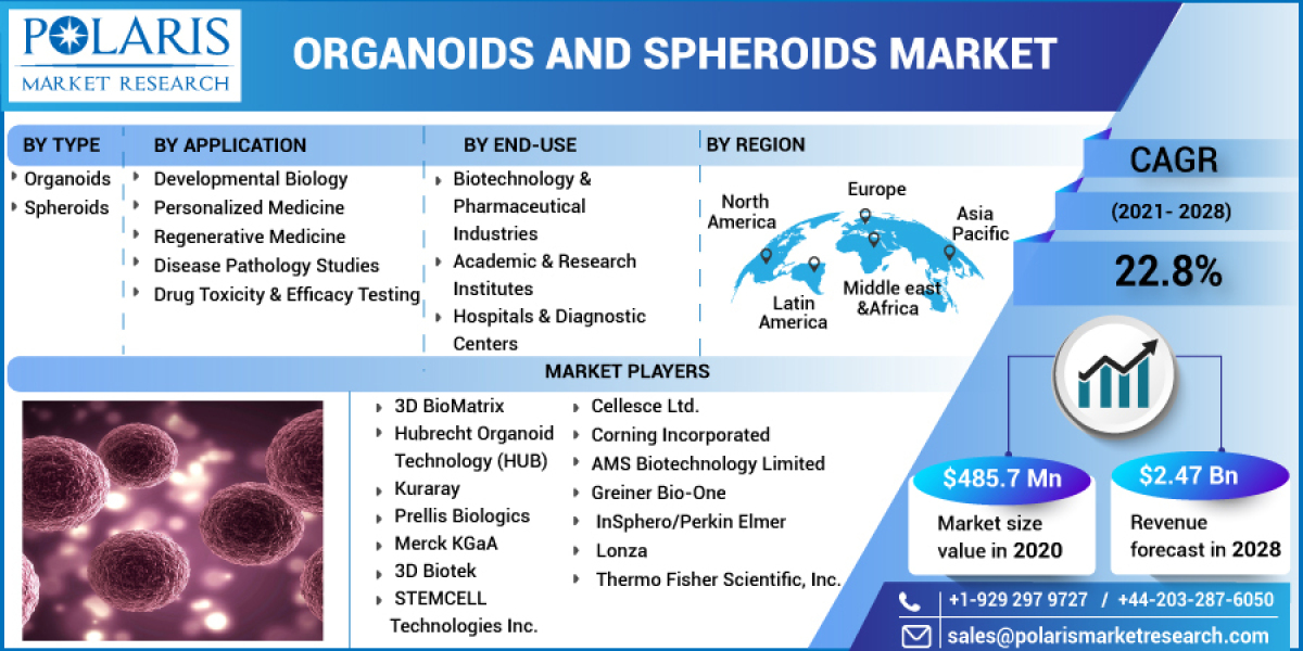Organoids And Spheroids Market Size, Segments, Competitors Strategy, Regional Analysis and Growth by Forecast to 2032