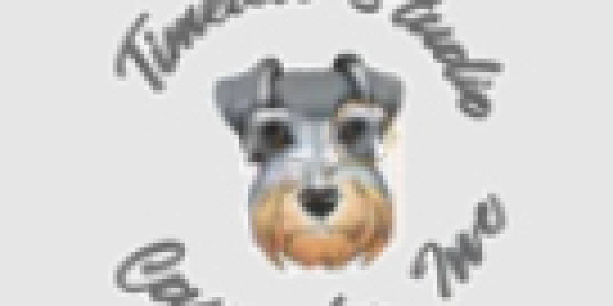 Digital Marketing Agency St John