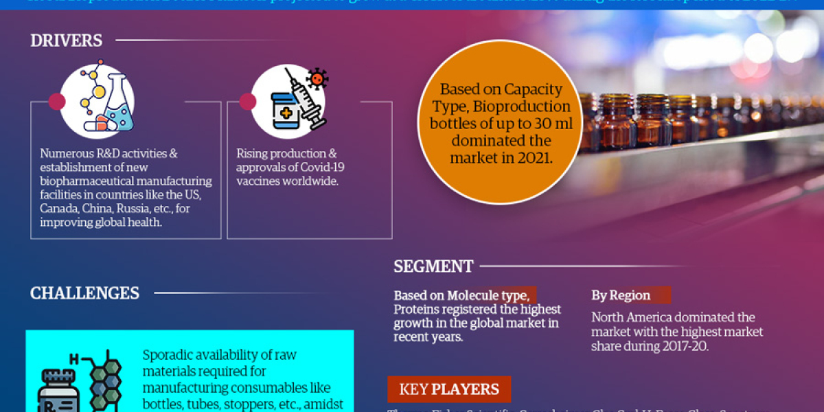 The Business of Global Bioproduction Bottles Market: Investment Opportunities and Challenges