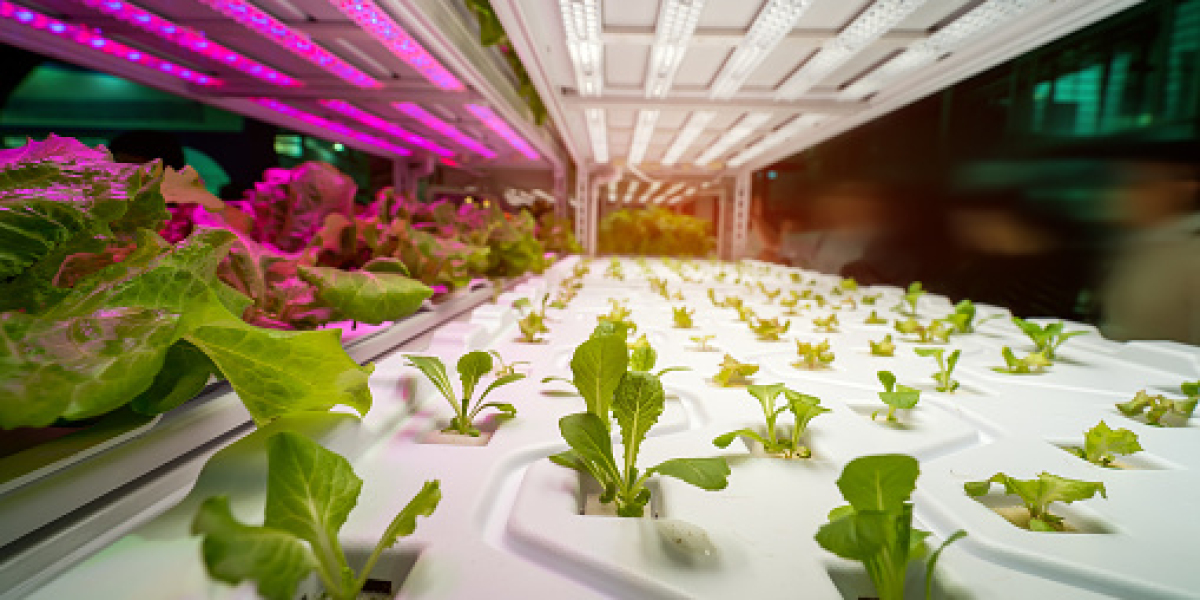 Hydroponics Market Insights: Companies with Revenue and Forecast 2030