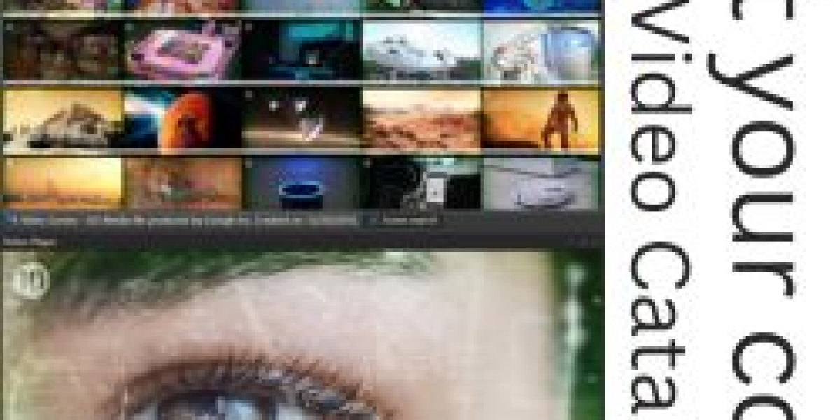 Vidine: A Fast Video Manager and Video Clip Organizer