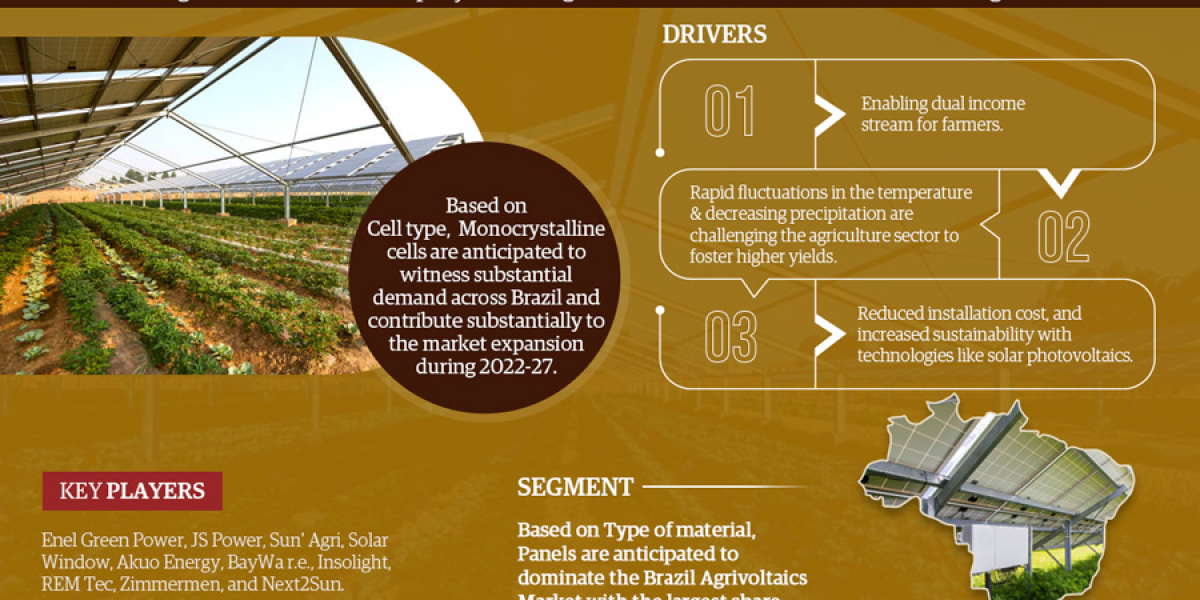 Brazil Agrivoltaics Market Insights: Top Companies, Regional Analysis, and Growth Opportunities