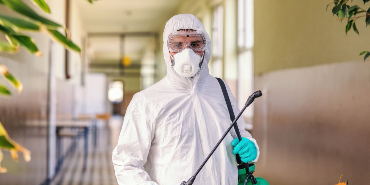 Cockroach Pest Control in Singapore