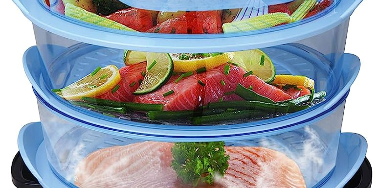 Electric Food Steamer Market 2023 Research by Top Manufacturers, Competitive Landscape and Development of Industry by 20