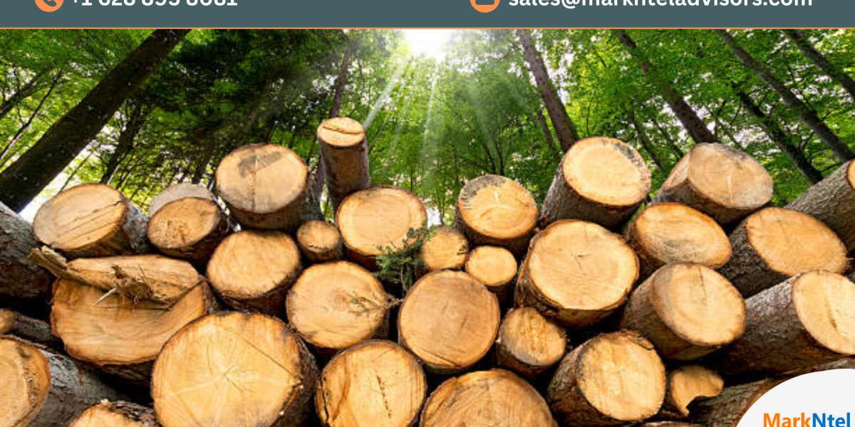 Middle East & North Africa Timber Market Insights: Top Companies, Regional Analysis, and Growth Opportunities