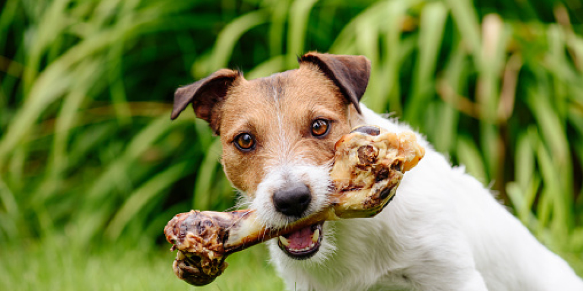 Pet Snacks & Treats Market Share, Top Competitor, Regional Portfolio, and Forecast 2030