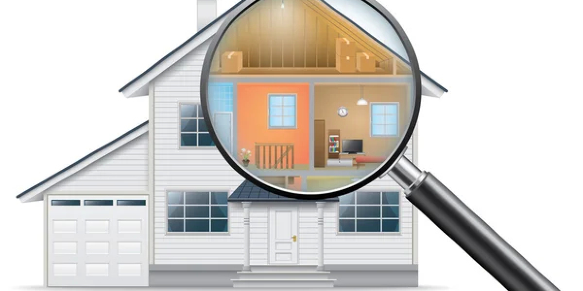 A Breath of Fresh Air: Mold Testing in Orlando, Florida"