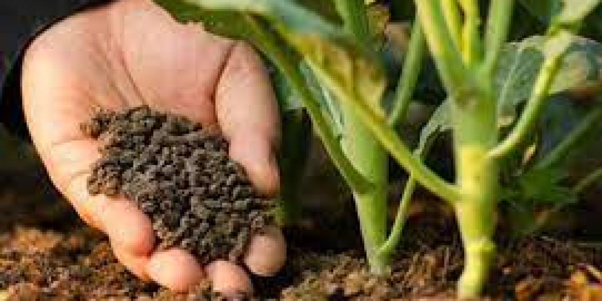 Catalyst Fertilizer Market Competitors, Growth Opportunities, and Forecast 2030
