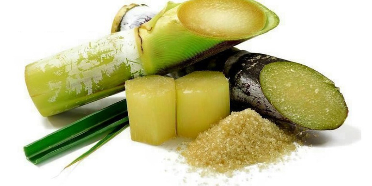 Global Policosanol Market Size, Share, Trend Report Forecast 2022 – 2032.