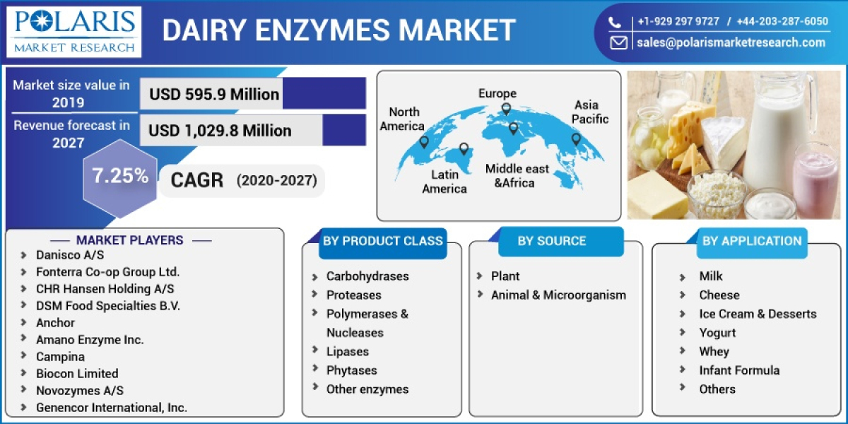 Dairy Enzymes Market Size and Outlook: 2023, Growth Opportunity and Demand Analysis by 2032