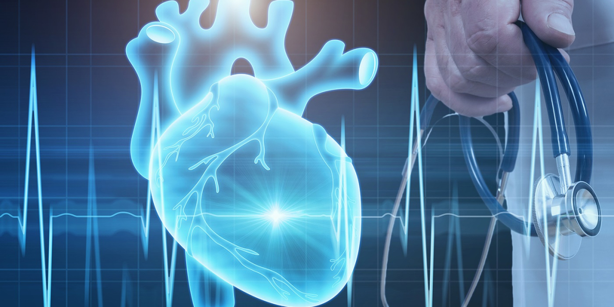 Global Interventional Cardiology Market Share to Register a Phenomenal CAGR between 2022-2030; Declares MRFR