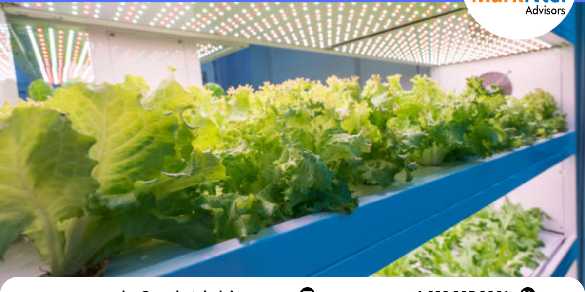 Horticulture Lighting Market Growth: Size, Share, and Future Scope