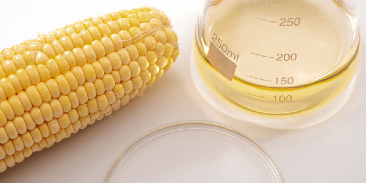 Project Report: Setting up a Ethanol Manufacturing Plant