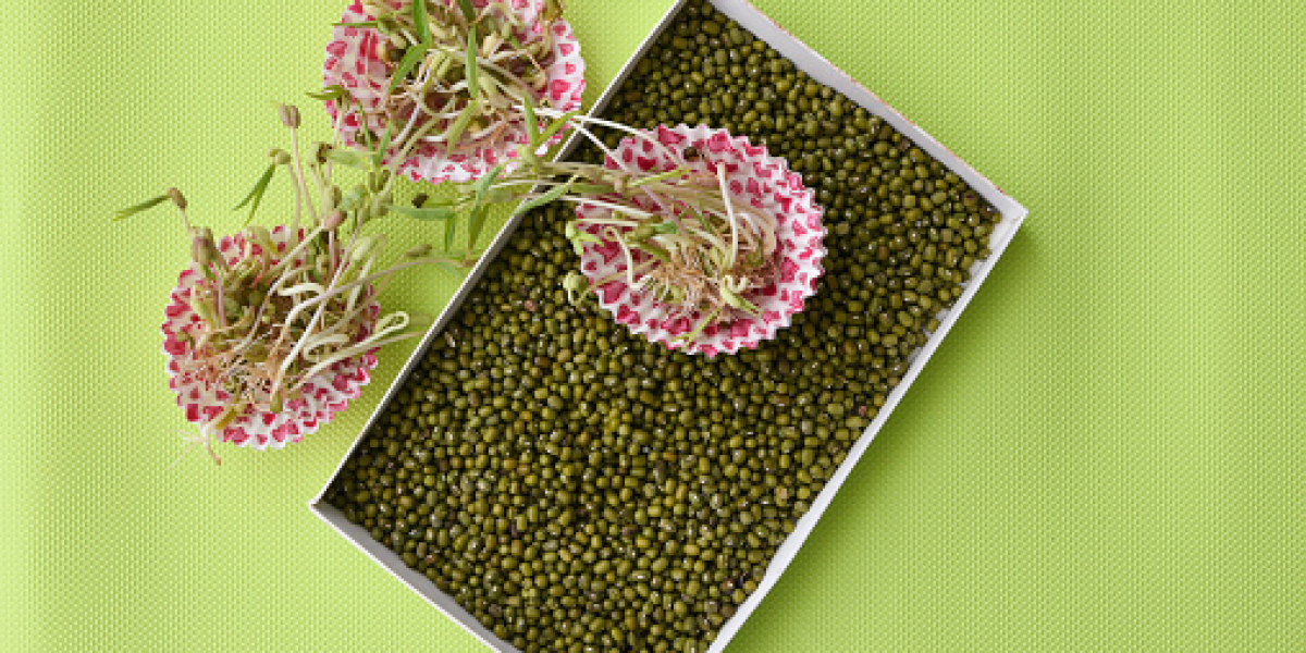 Feed Amino Acids Market Insights, Regional Trend, Demand, Growth Rate, and Profit Ratio till 2030