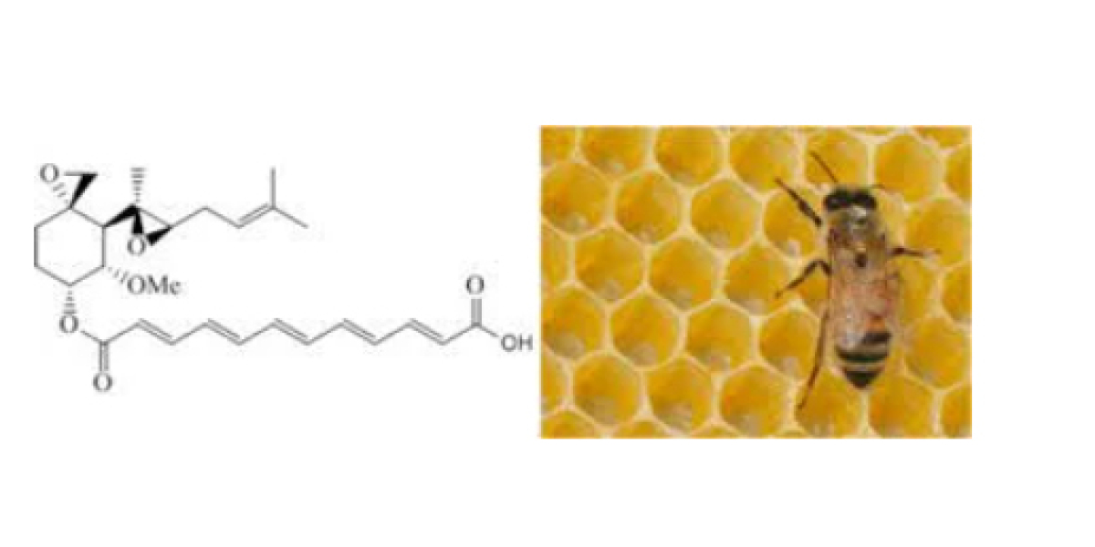 The Role of Fumagillin in Controlling Nosema Disease in Bees