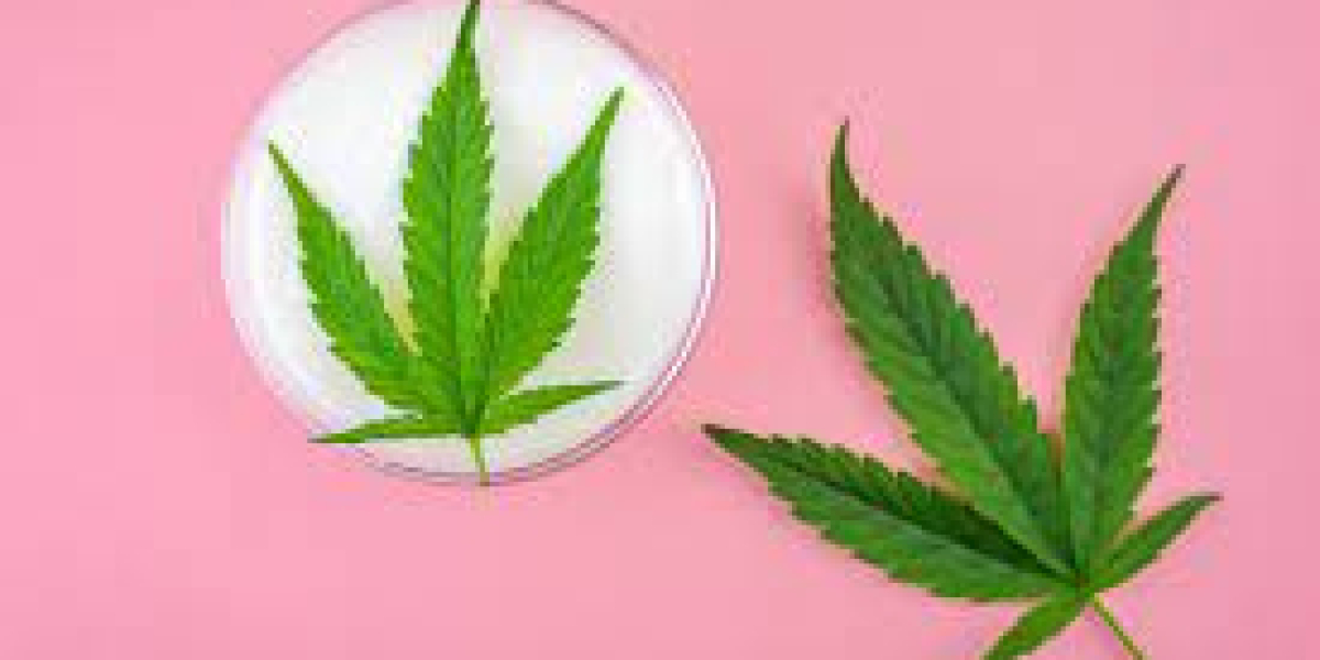 Earth Med CBD Gummies Trusted Reviews