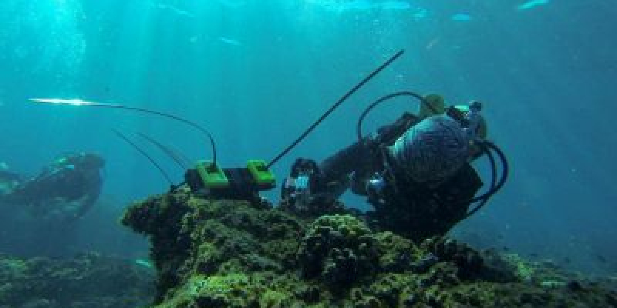 EV Charging Station and Charging Pile Market 2023 Growth Factors, Technological Innovation and Emerging Trends 2029