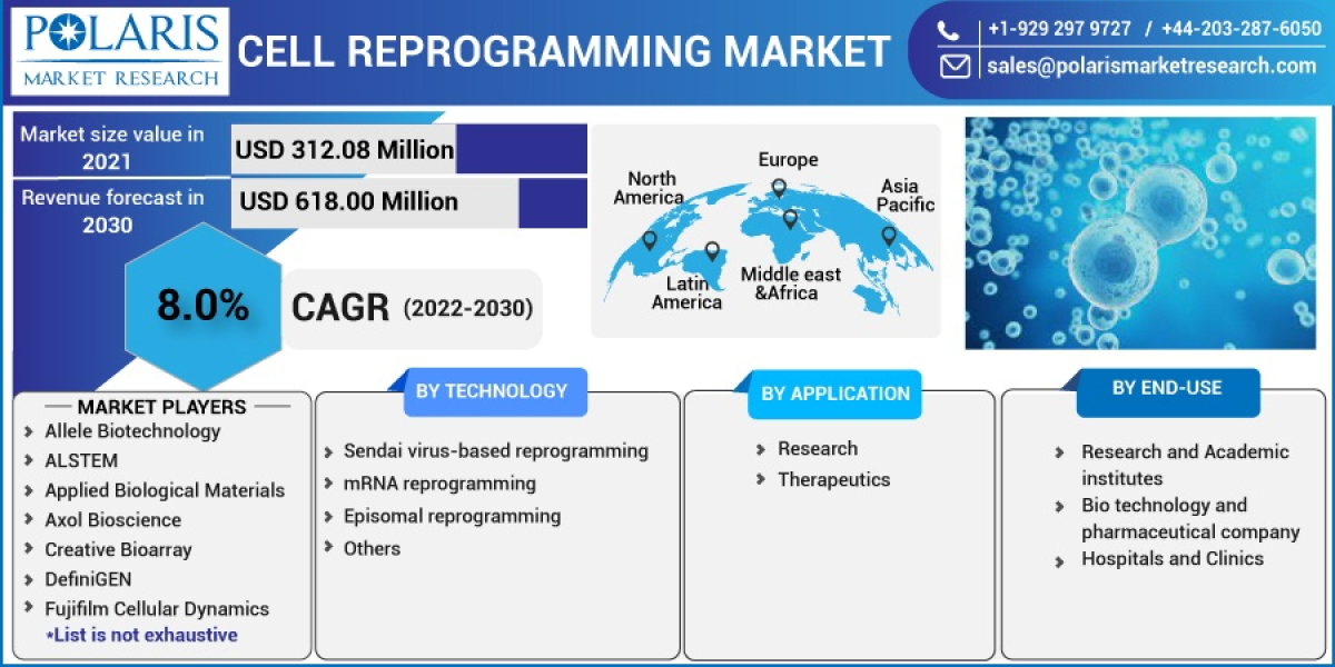 Cell Reprogramming Market Industry Size, Growth Potential, and Segmentation Strategies for Leading Manufacturers