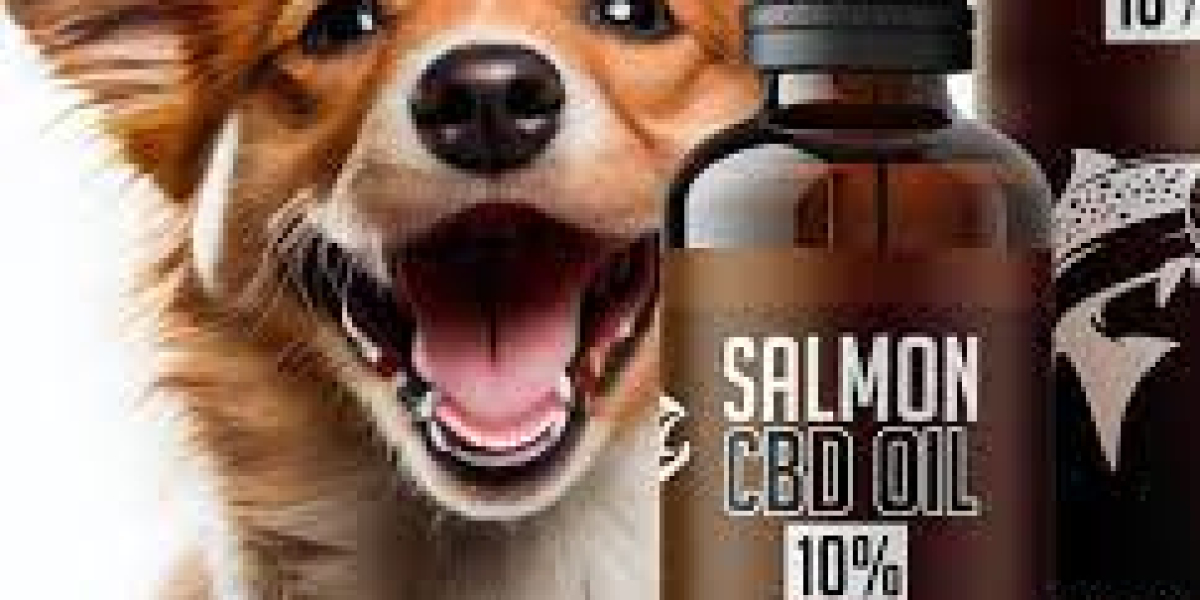 CBD for Nervous Pets: Easing Anxiety in the UK