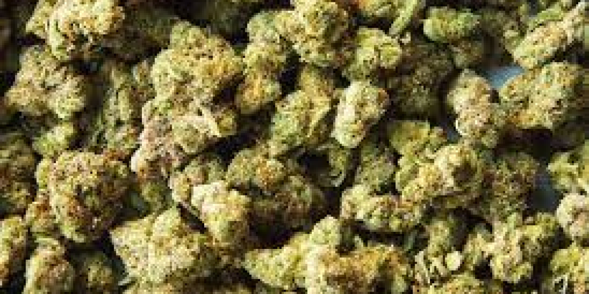 Purple Panda - Vape Store Guelph