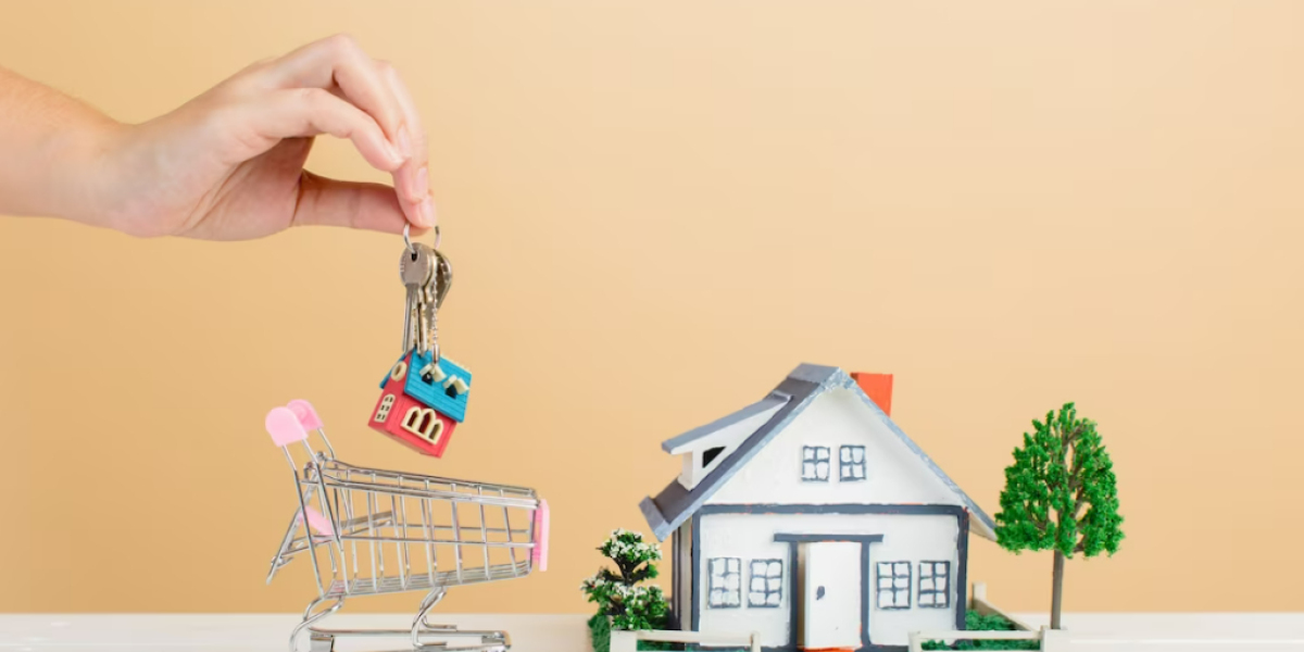 Tampa's Best-Kept Secrets Revealed by Dhruv Ralhan!