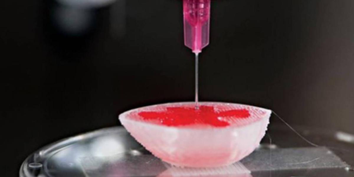 3D Bioprinting Market Top Leading Players with Strategies and Forecast 2032