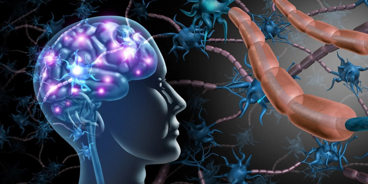 Increasing Healthcare Expenditure to Trigger Growth in Multiple Sclerosis Treatment Market Share