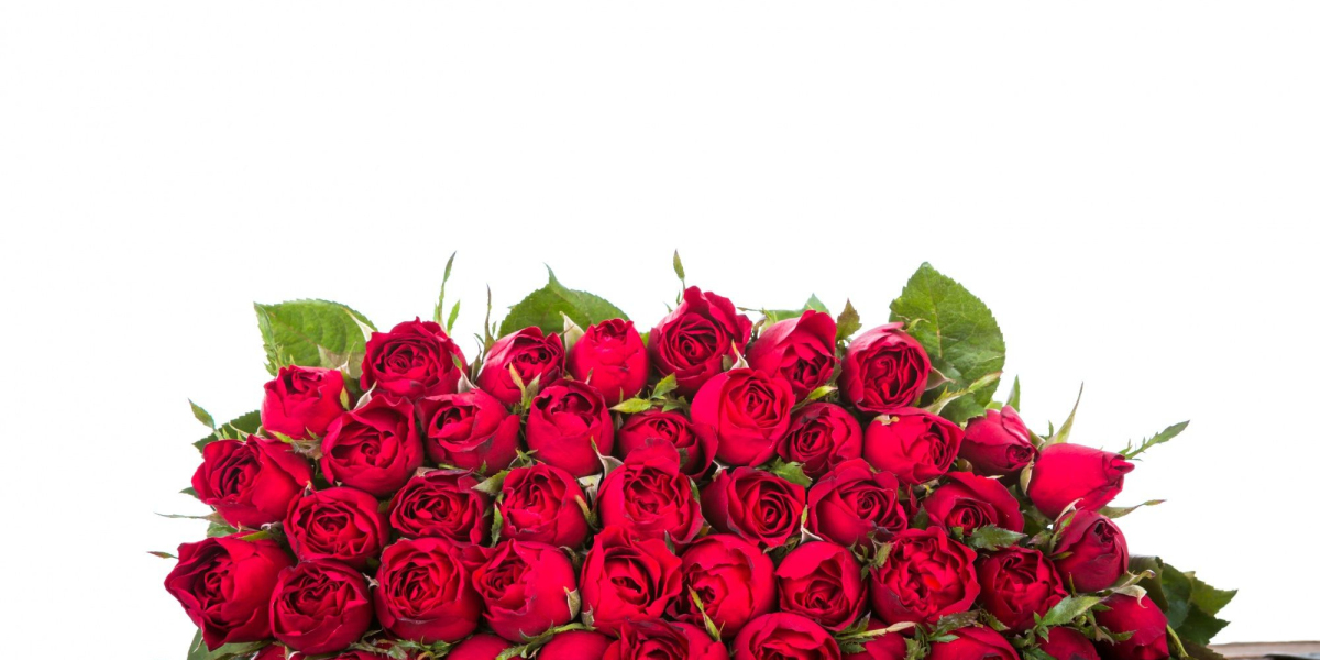 Elevate Special Occasions with a 99 Roses Bouquet