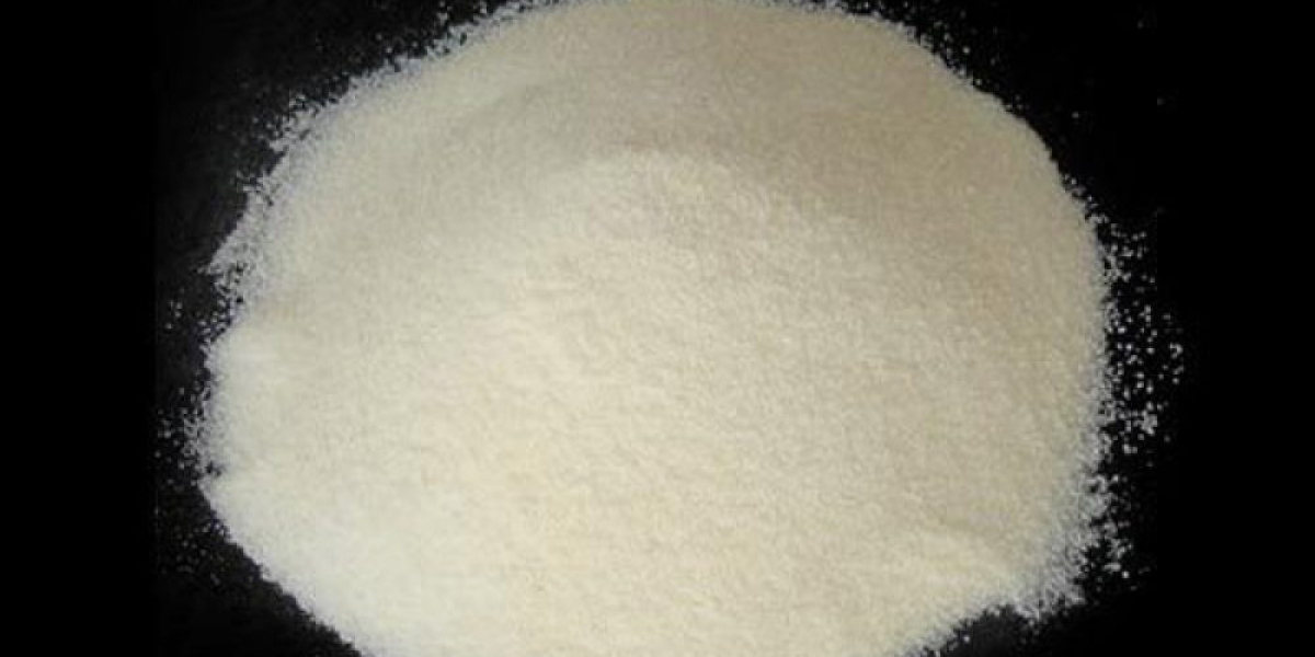 Sodium Caseinate Market Size, Share, Growth, Demand & Trends by 2031